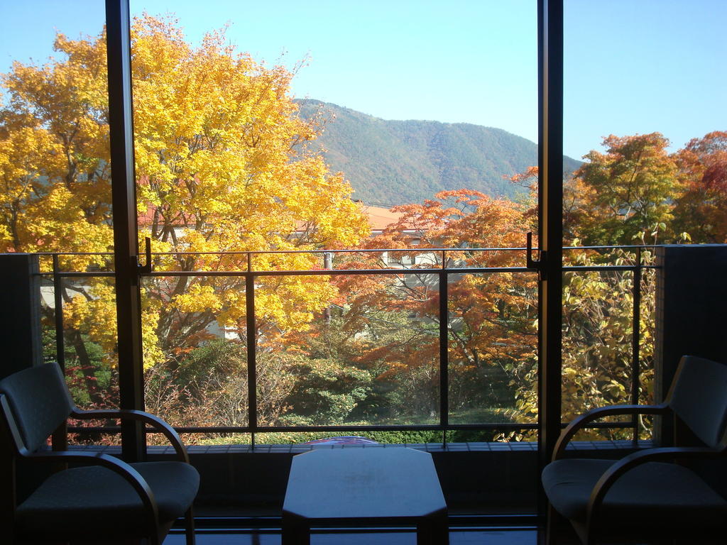 Gora Saryo Hotel Hakone Szoba fotó