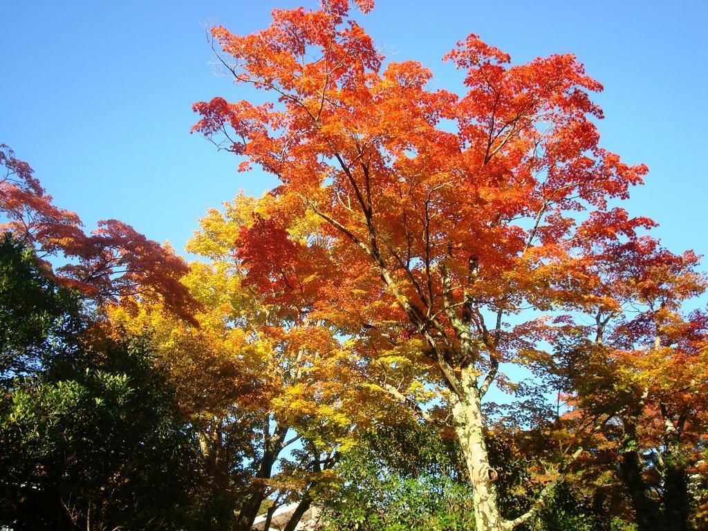Gora Saryo Hotel Hakone Kültér fotó