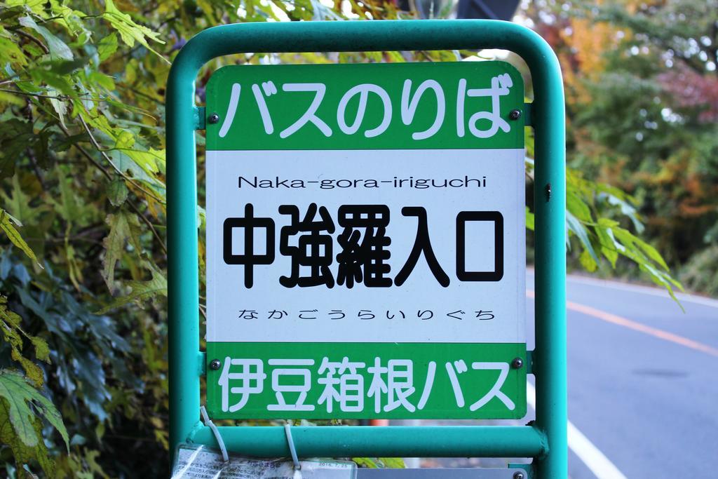 Gora Saryo Hotel Hakone Kültér fotó